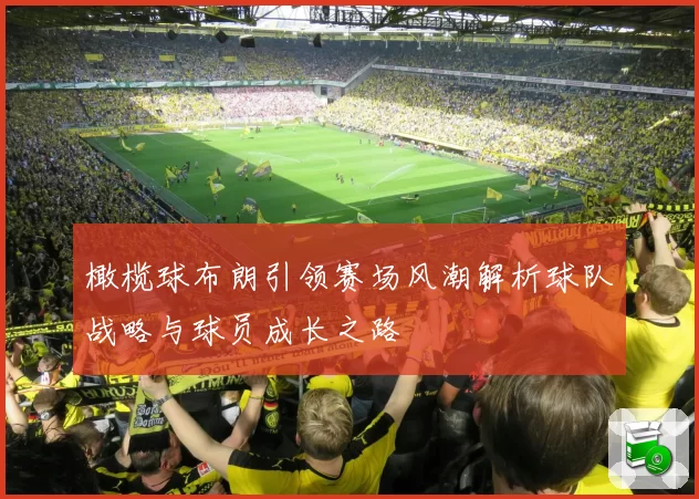 橄榄球布朗引领赛场风潮解析球队战略与球员成长之路