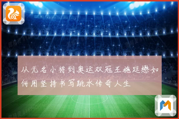 从无名小将到奥运双冠王施廷懋如何用坚持书写跳水传奇人生
