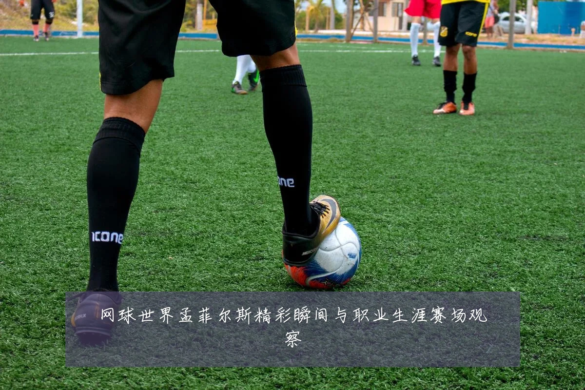 网球世界孟菲尔斯精彩瞬间与职业生涯赛场观察